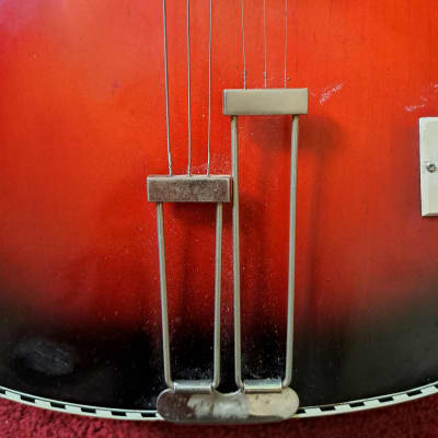 Fasan Electric Archtop/Jazz Hollowbody from the 50s image 3