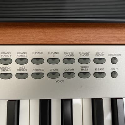 Yamaha P-120 weighted 88 note digital piano image 2