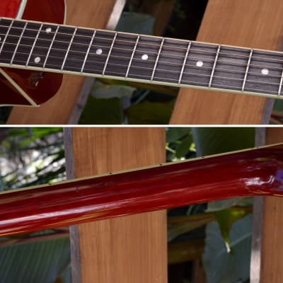 Carlo Robelli CDG-1 SRD Acoustic Guitar ~RED~ Solid Mahogany Top Ebony Fretboard image 12