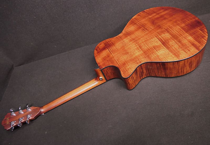 Ibanez AE325 LGS Series 6-String Acoustic-Electric Guitar Ibanez AE325 LGS Series 6-String Acoustic-Electric Guitar