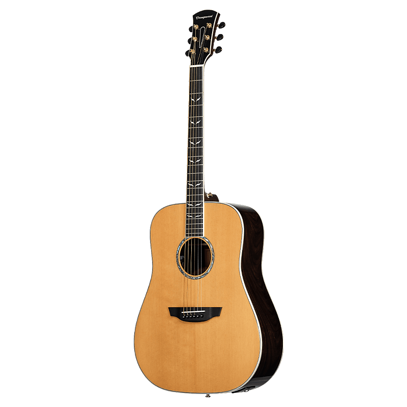 Echo, Sitka Spruce Dreadnought Acoustic Guitar