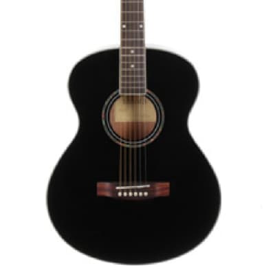 Tanara Grand Concert Acoustic TGC120BK  Black for sale