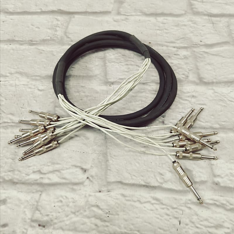 ProCo Acculink AC8 (AC8) 1/4" to 1/4" Patch Snake Cable 10ft Reverb