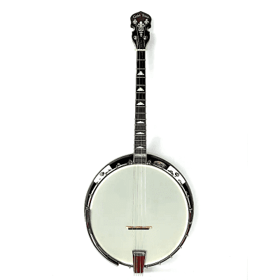 Gold Tone IT-250R 4-String  Irish Tenor Banjo w/ Resonator image 1