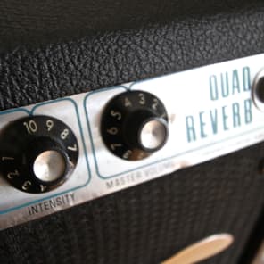 Fender Quad Reverb 1974 image 6