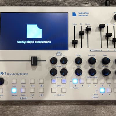 Tasty Chips GR-1 Granular Synthesizer Desktop Module -Silver | Reverb
