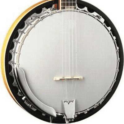 Washburn Americana 5-String Resonator Banjo - Sunburst - B9 image 1