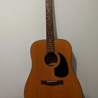Fender Ag10sn Korean Acoustic 1994 With A Strat Neck for sale