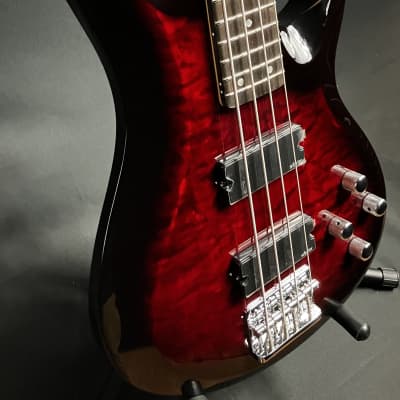 Schecter C-4 Plus 4-String Bass Guitar Quilted See-Thru Black Cherry image 5