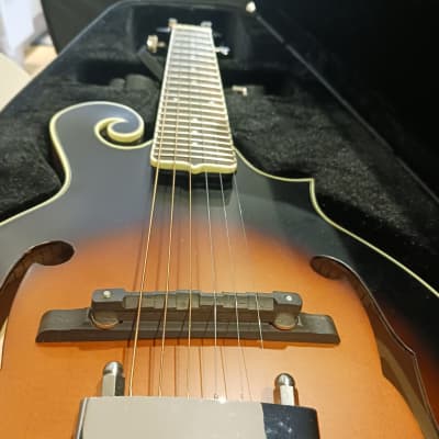 Gold Tone F-6 Manditar 2010s - Tobacco Sunburst image 1