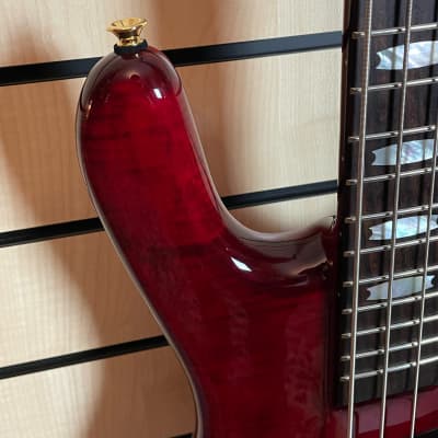Spector Euro 4 LX, Black Cherry GlossSold | Bass North