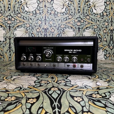 Roland RE-101 Space Echo | Reverb