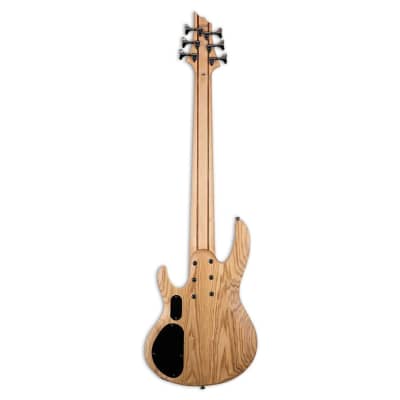 ESP LTD B-206SM 6-String Right-Handed Bass Guitar with Ash Body, Maple and Jatoba Neck, and Roasted Jatoba Fingerboard (Natural Satin) image 2