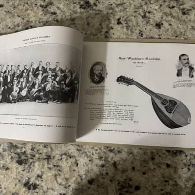 Washburn 1897 guitar mandolin zither banjo reprint catalog Lyon and Healy Lion image 3