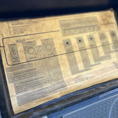 Maestro Echoplex EP-3 Solid State 1970 - 1991 - Grey image 3