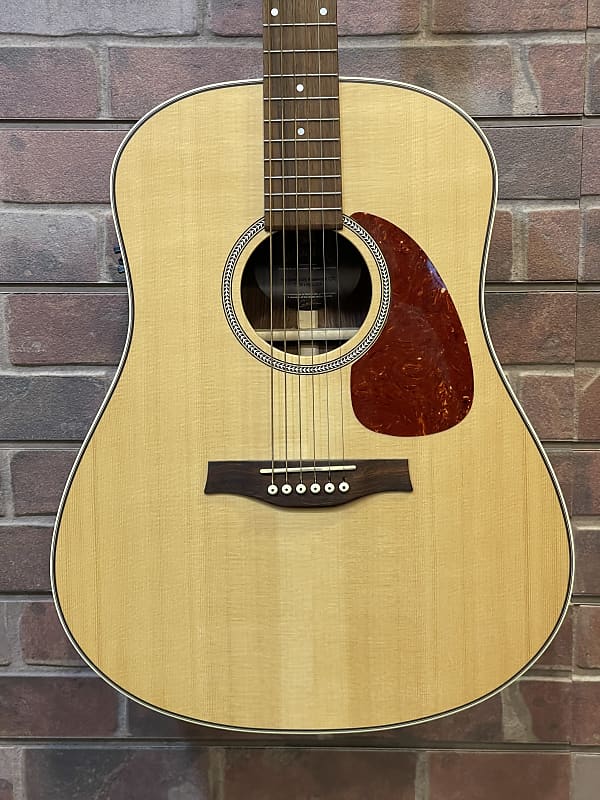 Seagull Martime SWS rosewood | Reverb