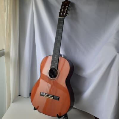 YAMAHA DW-8 トップ単板 2000年製 アコースティックギター　18K01003 美品YAMAHA DW-10 トップ単板