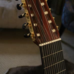 Darren Hippner 11 string Concert Classical 2011 image 4