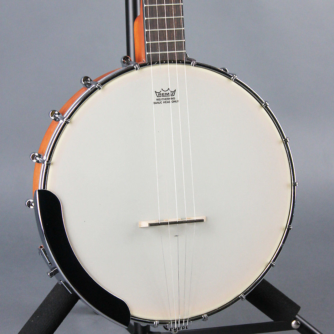 Gretsch G9450 Dixie Open Back 5 String Banjo Reverb