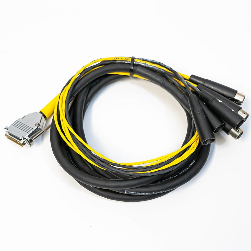 ケーブル・シールド avid db-25 xlrm d-sub DigiSnake Avid DB25-XLRm Digisnake - 3.60m Câble multipaire & boîtier