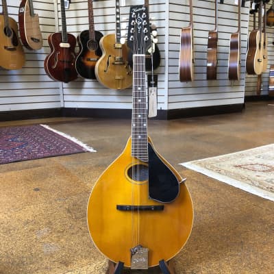 Kentucky KM-272 Deluxe Oval Hole A-Style Spruce/Maple Mandolin Transparent Amber w/Padded Gig Bag image 4