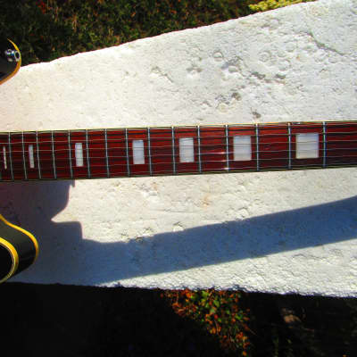 Univox 335 Style Guitar, 1960's, Japan, "Player", Case image 14