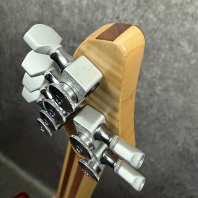 Carvin Holdsworth HF2 2010 - Sunbusrt image 16