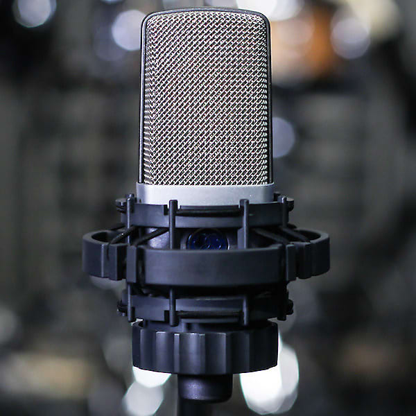 AKG C214 Large Diaphragm Cardioid Condenser Microphone | Reverb