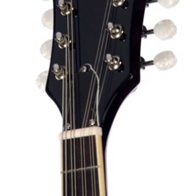 Eastwood MRG Series Tone Chambered Mahogany Maple Top Body Set Maple Neck 8-String Mandolin w/Gig Bag image 4
