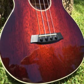 Taylor hot sale guitars ukulele