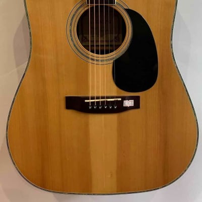 Canora Acoustic Guitar image 2