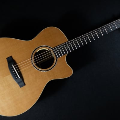 Lakewood  M-32 Edition 2018 | Grand Concert Model with cutaway and pickup system image 5