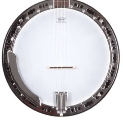 Washburn Americana Series B11 5-String Banjo Natural w/ Case for sale