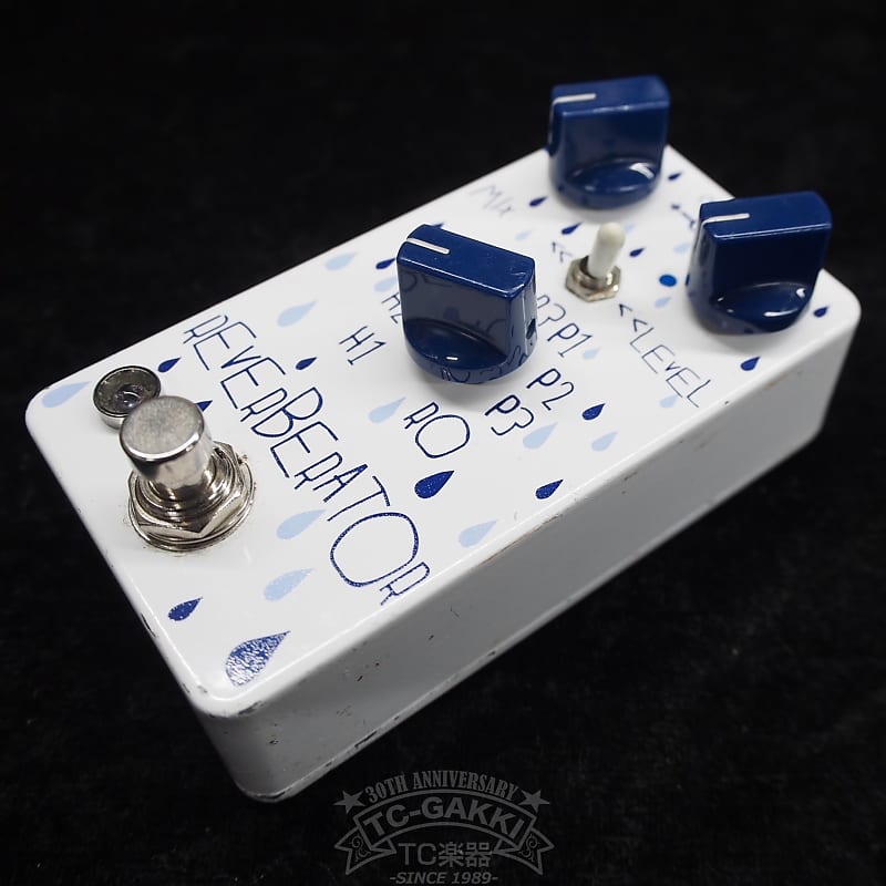 ギター Dr Scientist Reverberator Dr Scientist Reverberator - What To Know & Where To Buy