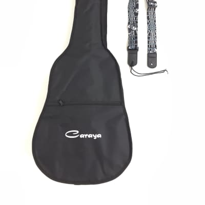 Faswin deals guitar bag