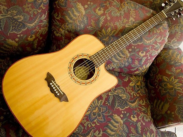 Washburn d42sce new arrivals