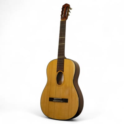 6 Strings Fretless Classical/ 12 String Acoustic Double