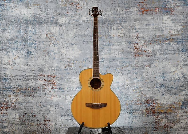 Takamine Jasmine | Reverb
