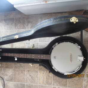 Johnson jb 100 shop banjo