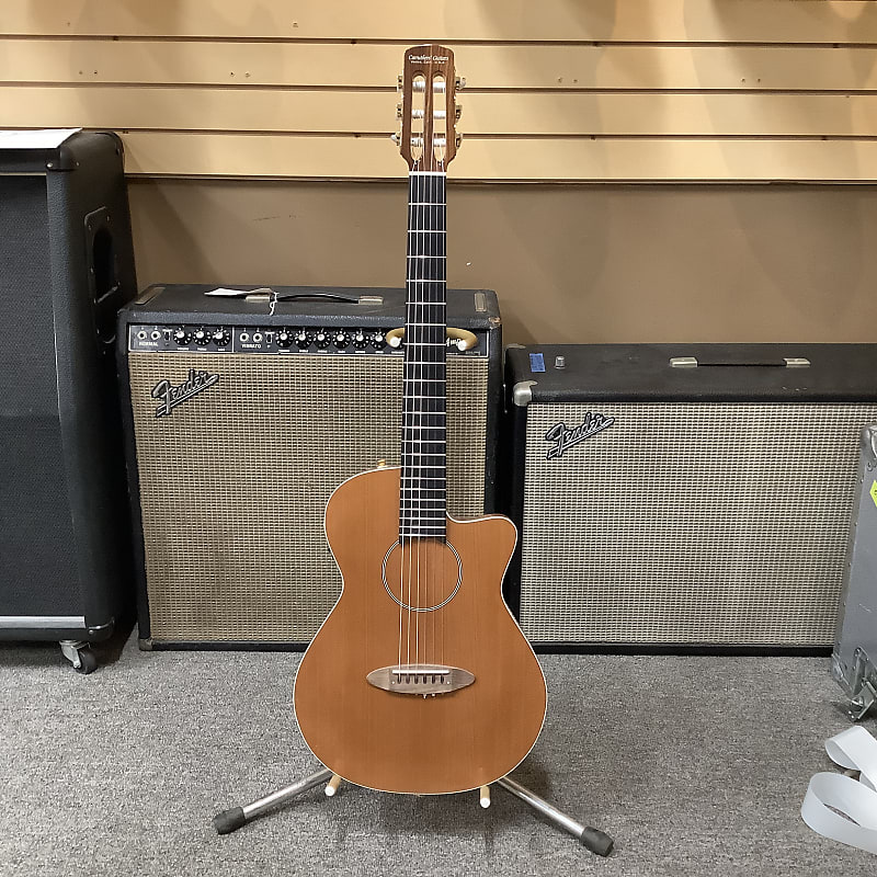 Carruthers' Guitars, Venice, California, Thinline Nylon | Reverb