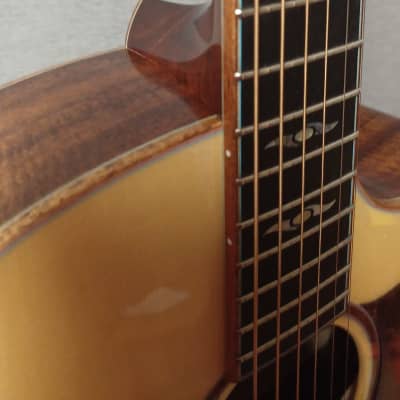 Eastman AC522CE with Hard Shell Case image 3