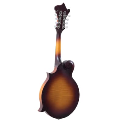 Loar LM-590E-MS Contemporary Mandolin F-Style All Solid Hand Carved w/Fishman Nashville Pickups image 3