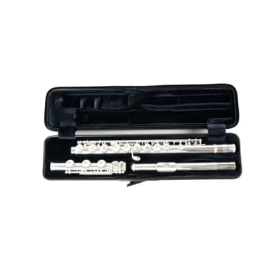 Bam Hightech Flute Case Tweed Look  4009XLT image 2