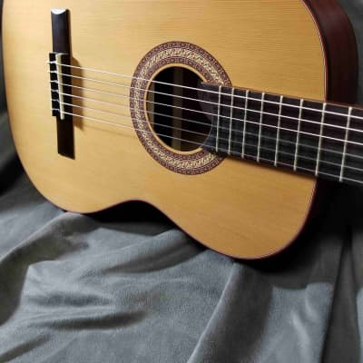 Manuel Rodriguez TRADICÍON Series T-62 7/8 Size Classical Guitar image 1