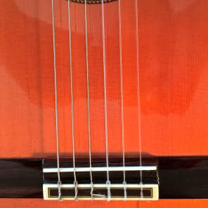 Alvarez Professional Series Model 5202 Classical Guitar -- Mint Condition; w/ SKB Hard Shell Case image 19