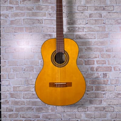 Epiphone Pro-1 Classical Classical Acoustic Guitar (Buffalo Grove, IL) image 3