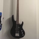 ESP Ltd. B-10 Bass with Gig Bag
