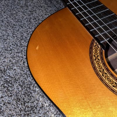 Jasmine by Takamine C23 | Reverb