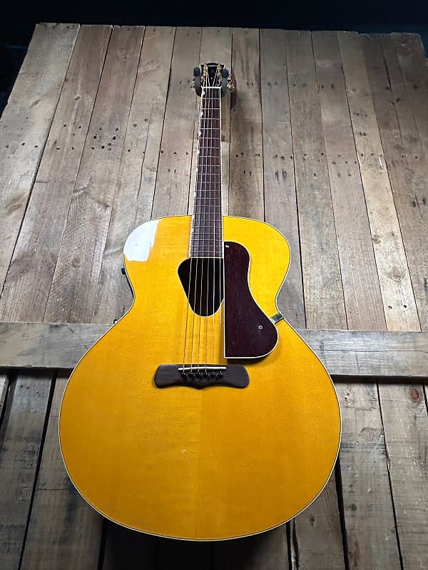 Gretsch グレッチ historic series G3203 エレアコ Gretsch グレッチ historic series G3203 エレアコ