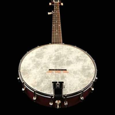 Recording King RKOH-05 Open Back 5-String Banjo. New, with Full Warranty! image 6